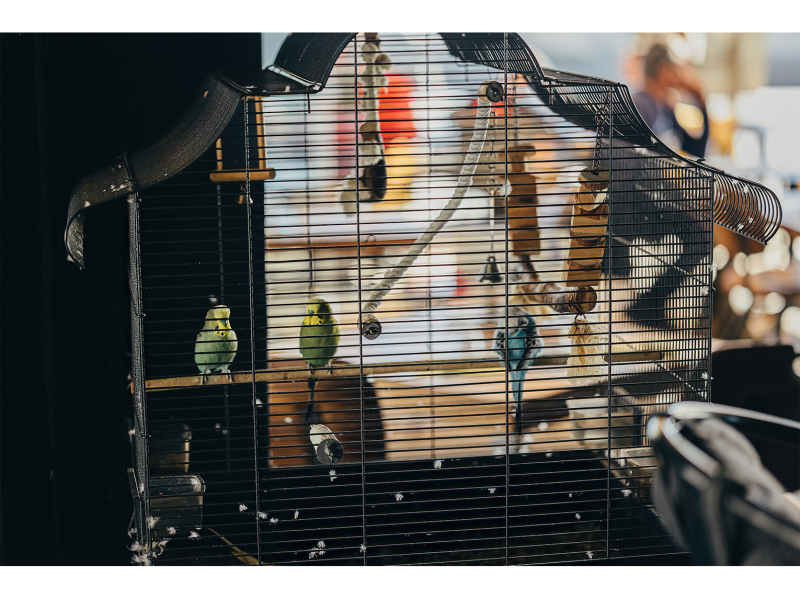 Galerie - Le Chary - Restaurant La Grande Motte - Restaurant la Grande Motte vue mer